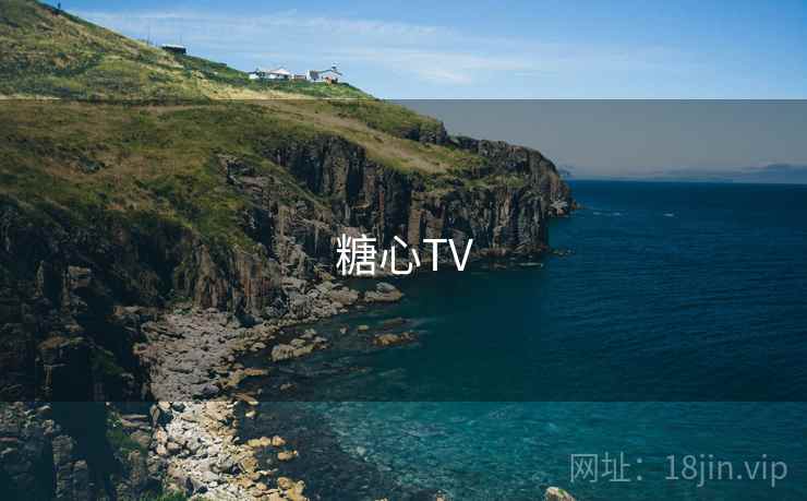 糖心TV 第1张