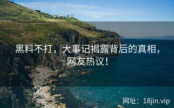 黑料不打，大事记揭露背后的真相，网友热议！  第2张