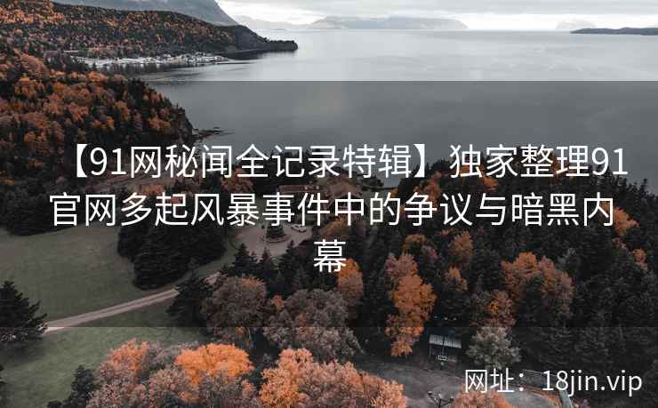 【91网秘闻全记录特辑】独家整理91官网多起风暴事件中的争议与暗黑内幕  第2张