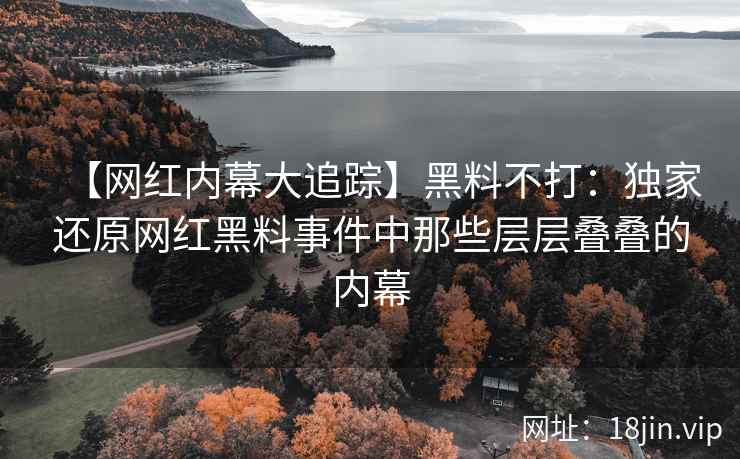 【网红内幕大追踪】黑料不打：独家还原网红黑料事件中那些层层叠叠的内幕