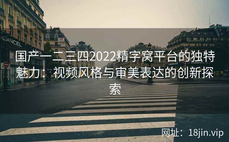 国产一二三四2022精字窝平台的独特魅力：视频风格与审美表达的创新探索  第2张