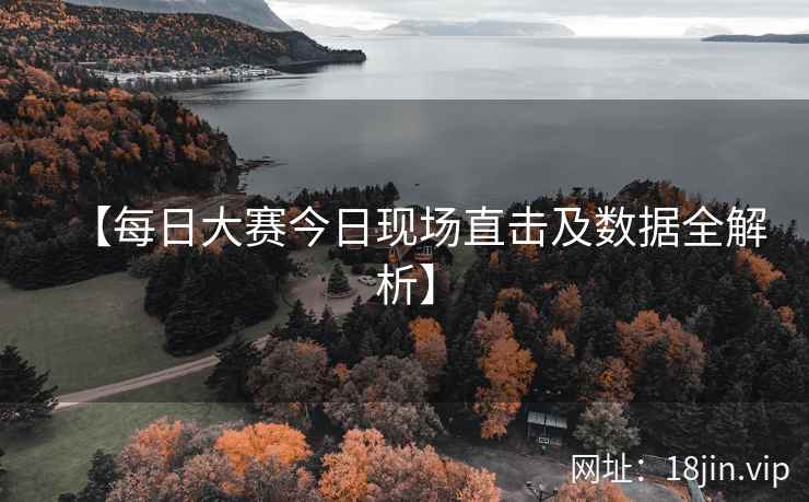 【每日大赛今日现场直击及数据全解析】