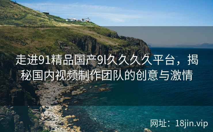 走进91精品国产9l久久久久平台，揭秘国内视频制作团队的创意与激情  第2张