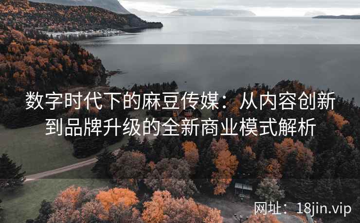 数字时代下的麻豆传媒：从内容创新到品牌升级的全新商业模式解析  第1张
