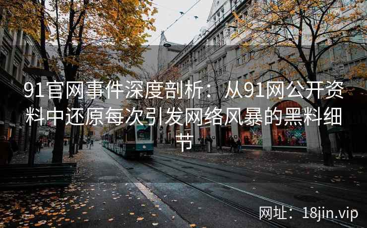 91官网事件深度剖析：从91网公开资料中还原每次引发网络风暴的黑料细节  第2张